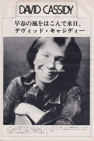 David Cassidy 1974/04 Japanese music press cutting clipping - photo pinup poster