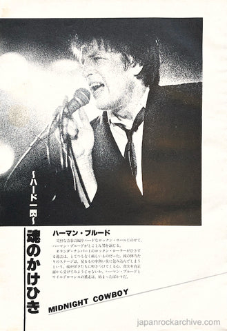 Herman Brood 1980/02 Japanese music press cutting clipping - photo pinup